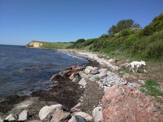 Ferienhaus Karrebæksminde  37