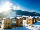 Vakantiepark St. Lorenzen ob Murau Buitenaudio-opname 1