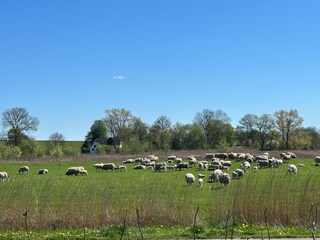Weiter Blick