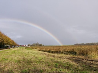 Parque de vacaciones De Koog Entorno 32