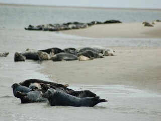 Parco vacanze De Koog Ambiente 18