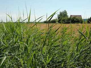 Vakantiepark De Koog Omgeving 22