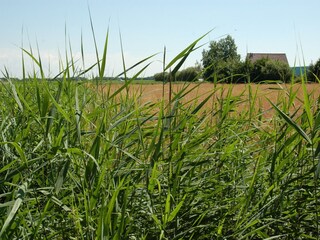 Ferienpark De Koog Umgebung 22