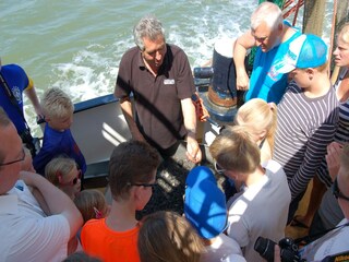 Vakantiepark De Koog  36