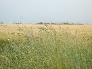 Parc de vacances De Koog Environnement 14