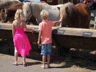 Holiday park De Koog  39
