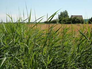 Parc de vacances De Koog Environnement 21