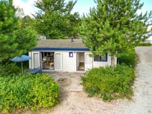 Ferienpark Komfortables Chalet im Dünenbereich von Egmond aan Zee - Egmond aan Zee - image1