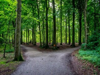 Parc de vacances Den Haag Environnement 27
