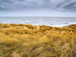 Vakantiepark Den Haag Omgeving 18