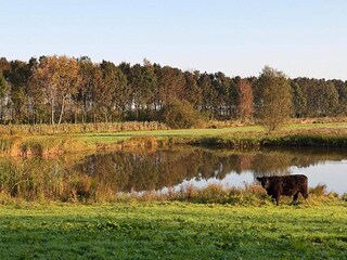 Vakantiepark Scheveningen Omgeving 30