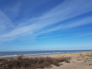 Vakantiepark Scheveningen Omgeving 18