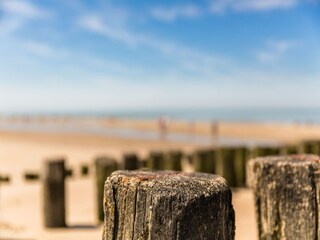 Parque de vacaciones Domburg Entorno 13