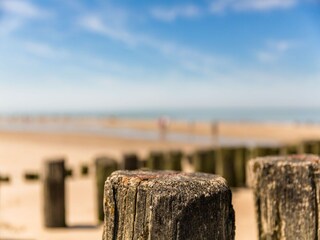 Holiday park Domburg Environment 11