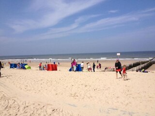 Holiday park Domburg Environment 28