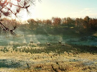 Holiday park Domburg Environment 32