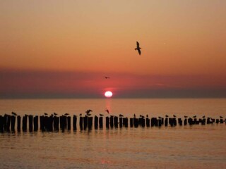 Holiday park Domburg Environment 25