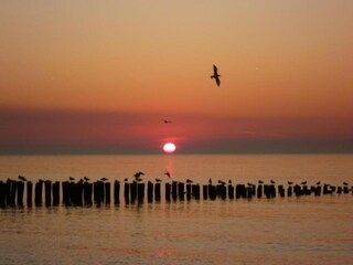 Vakantiepark Domburg Omgeving 38