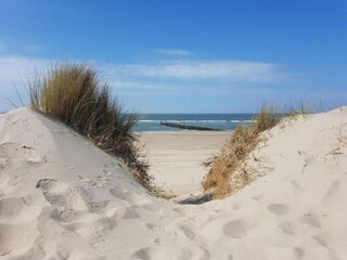 Parc de vacances Domburg Environnement 45
