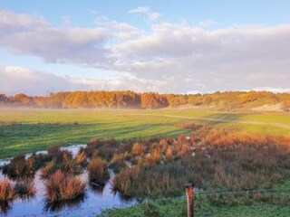 Vakantiepark Domburg Omgeving 51