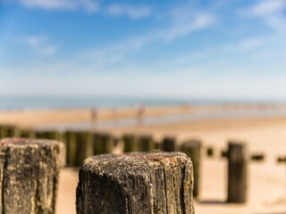Parc de vacances Domburg Environnement 31