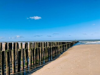 Parc de vacances Domburg Environnement 22