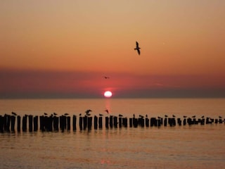 Parc de vacances Domburg Environnement 19