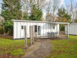 Ferienpark Komfortables Chalet mit Geschirrspüler, Strand in Laufnähe - Wissenkerke - image1