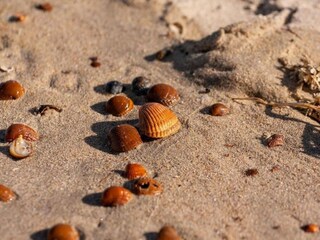 Ferienpark Wissenkerke Umgebung 30