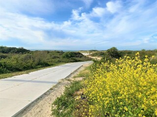 Vakantiepark Wissenkerke Omgeving 24