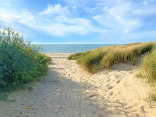 Ferienpark Wissenkerke Umgebung 28
