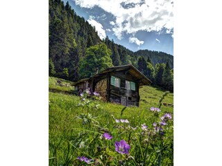 Kirschbaumhütte Alp Schneit