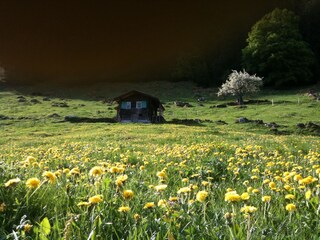 Kirschbaumhütte Alphütte