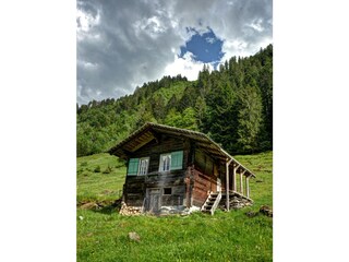 Kirschbaumhütte - Sonne, den ganzen Tag