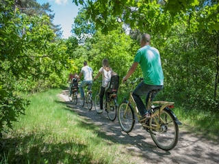 Ferienpark Oosterhout  29