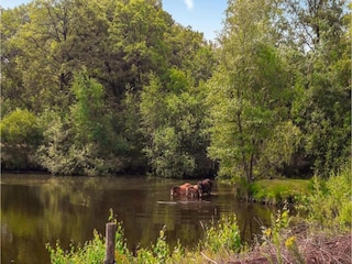 Parc de vacances Stramproy Environnement 8