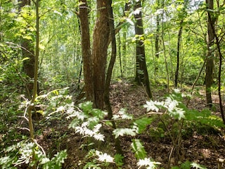 Maison de vacances Hattem Enregistrement extérieur 1