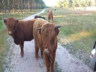 Vakantiehuis Hattem Omgeving 23