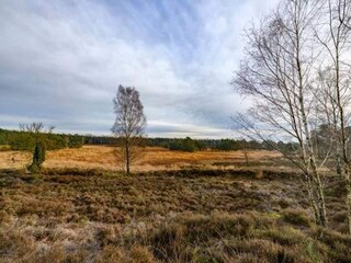 Vakantiepark Epe Omgeving 7