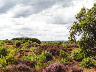 Vakantiepark Epe Omgeving 16