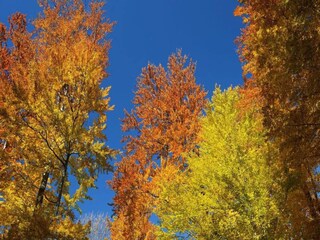 Parque de vacaciones Epe Entorno 24