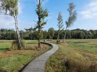 Vakantiepark Epe Omgeving 24