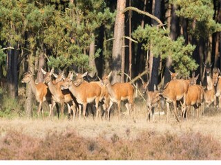 Parque de vacaciones Epe Entorno 13