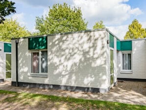 Holiday park Bequemer Bungalow nahe dem Hunebedcentrum - Borger - image1