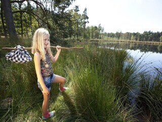 Ferienpark Borger Umgebung 13