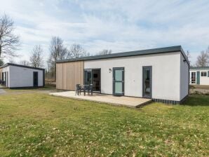 Holiday park Modern chalet with dishwasher, near the Hunebedcentrum - Borger - image1