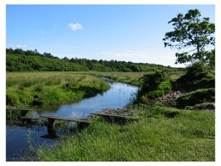 Casa per le vacanze De Koog Ambiente 21