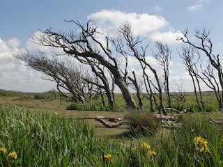 Malerische Naturparadiese wohin das Auge blickt.