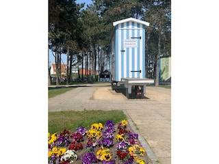 Ferienwohnung Grömitz Umgebung 12