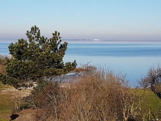 Vakantiehuis Makkum Omgeving 26